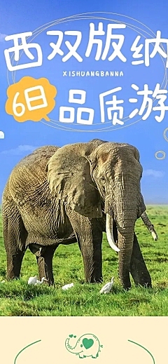 旅游出行旅行社线路营销详情页