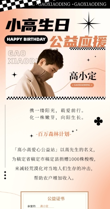 简约风明星生日应援宣传长图