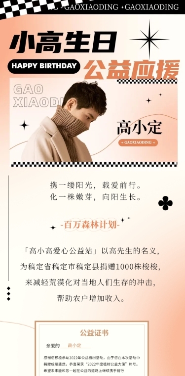 简约风明星生日应援宣传长图