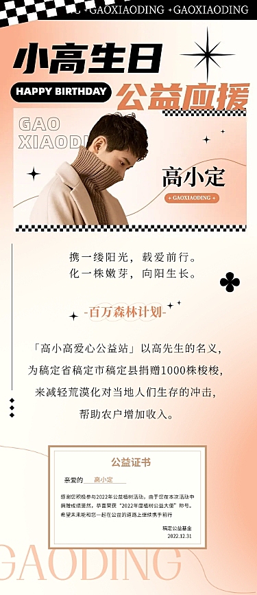 简约风明星生日应援宣传长图