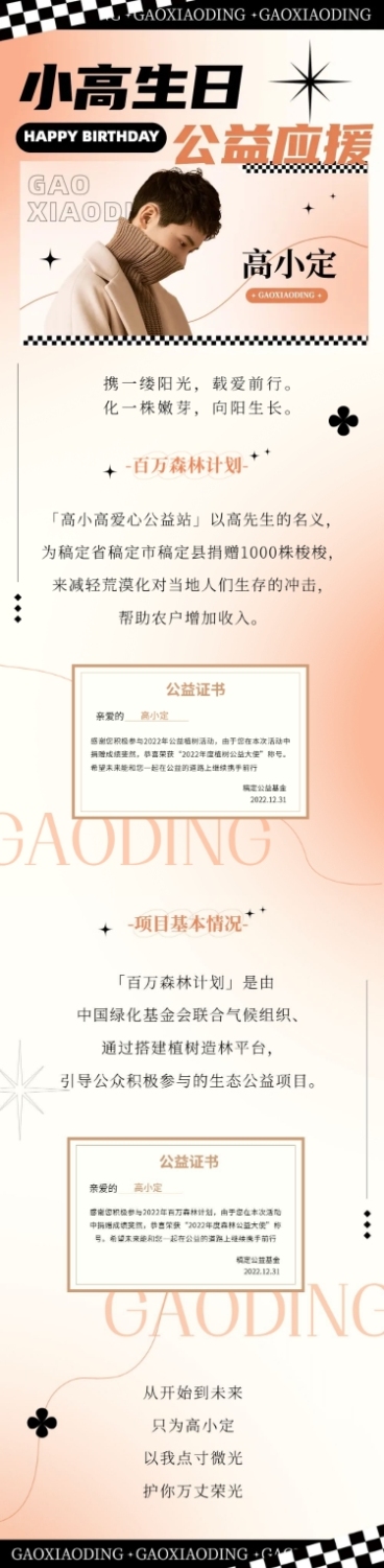 简约风明星生日应援宣传长图预览效果