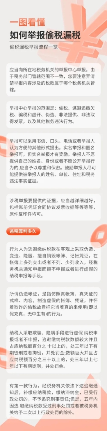 轻透几何风政策宣读一图读懂长图预览效果