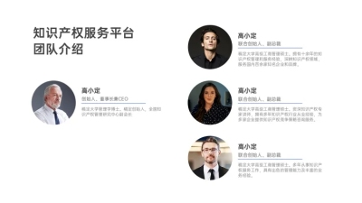 团队介绍组织结构PPT内容页