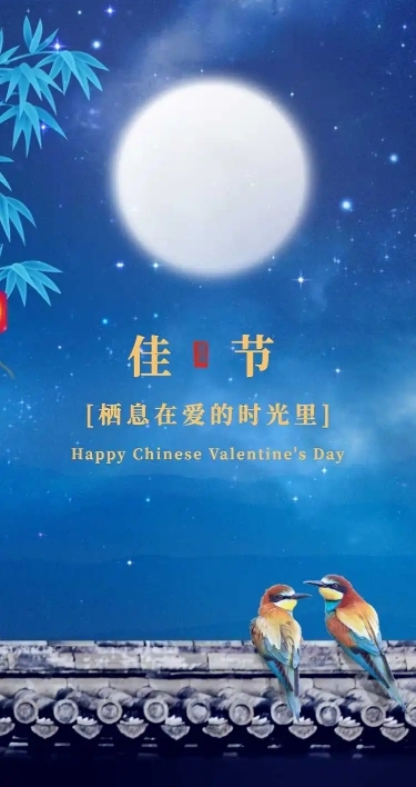 H5长页七夕月亮夜晚城墙喜鹊故宫图文