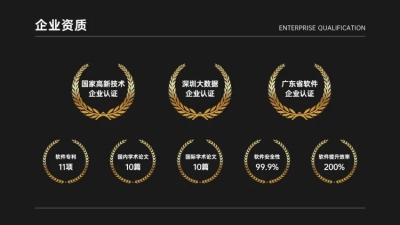企业荣誉单页8项PPT内容页