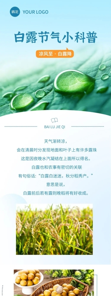 白露节气科普文章长图