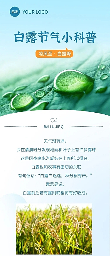 白露节气科普文章长图