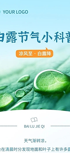 白露节气科普文章长图
