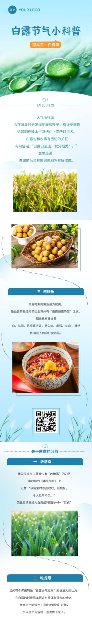白露节气科普文章长图预览效果