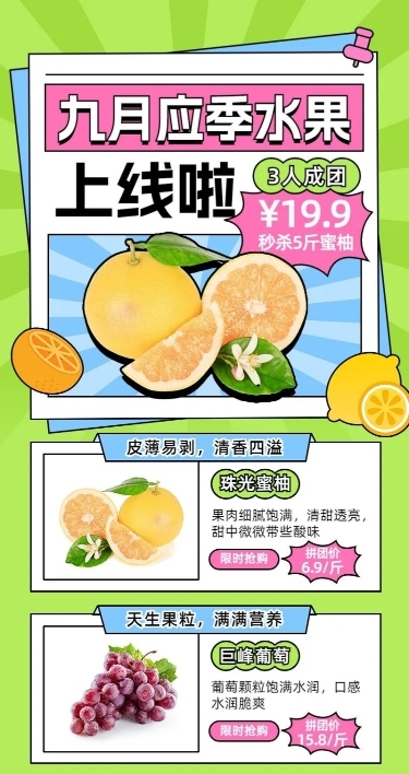 9月应季水果生鲜团购团长拼团营销长图海报描边扁平插画