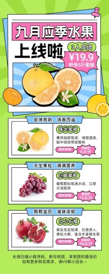 9月应季水果生鲜团购团长拼团营销长图海报描边扁平插画预览效果