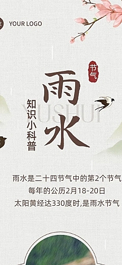 雨水节气科普文章长图