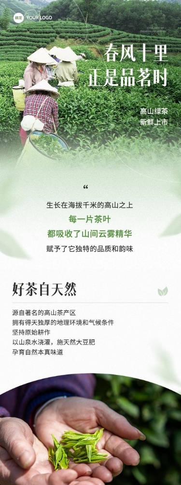 茶叶促销宣传微信公众号文章长图AIGC