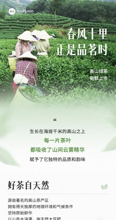茶叶促销宣传微信公众号文章长图AIGC