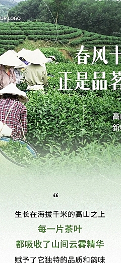 茶叶促销宣传微信公众号文章长图AIGC