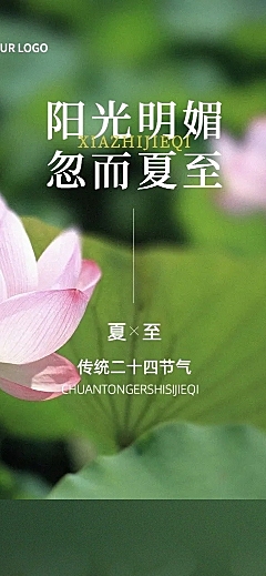 夏至节气科普实景排版文章长图
