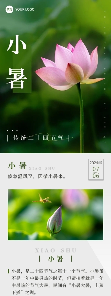 小暑节气科普实景排版文章长图