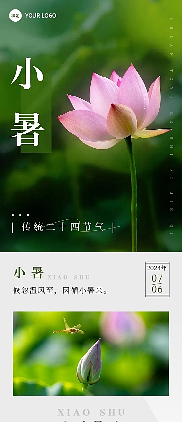 小暑节气科普实景排版文章长图