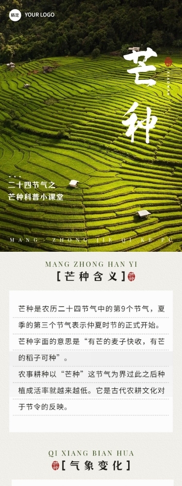 芒种节气科普实景排版文章长图