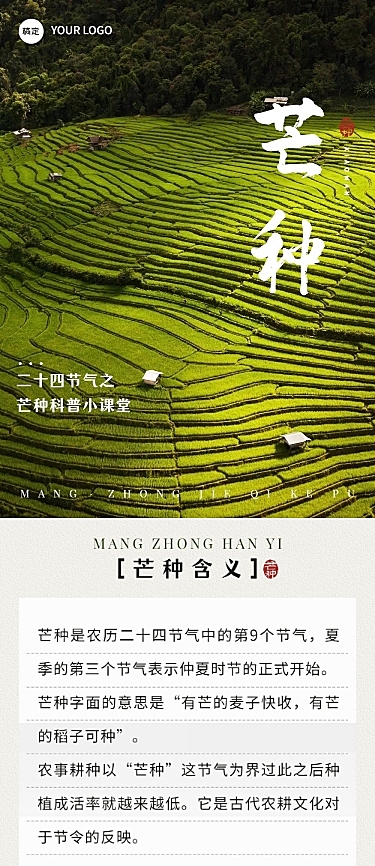 芒种节气科普实景排版文章长图