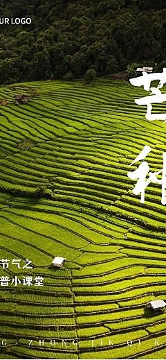 芒种节气科普实景排版文章长图