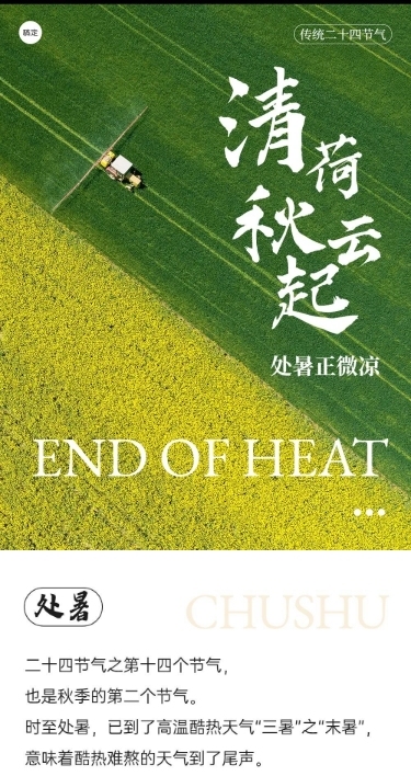 处暑节气科普文章长图