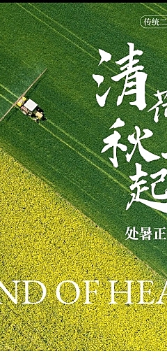 处暑节气科普文章长图