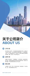 企业宣传公司介绍易拉宝简约金融财务讲师