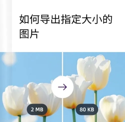 web按指定大小下载教程