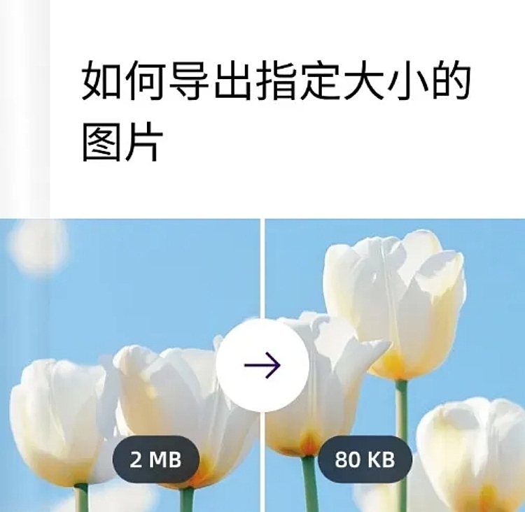 web按指定大小下载教程