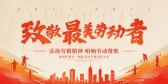 模板缩略图