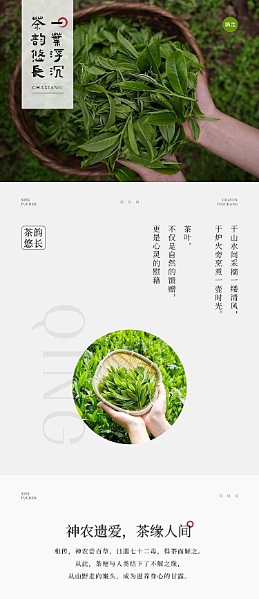 零售茶叶产品营销实景排版多画布文章长图