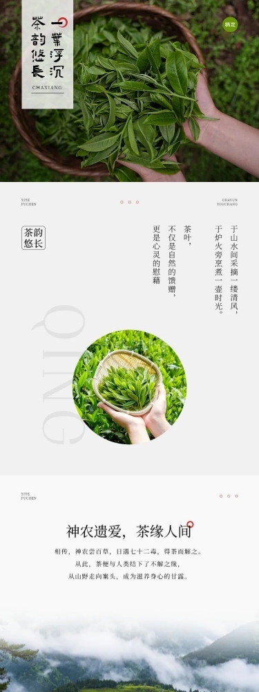 零售茶叶产品营销实景排版多画布文章长图