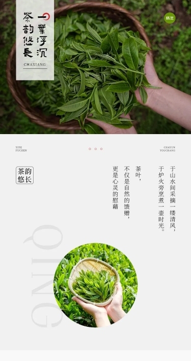 零售茶叶产品营销实景排版多画布文章长图
