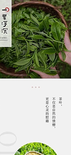 零售茶叶产品营销实景排版多画布文章长图