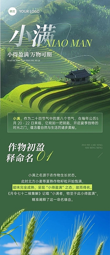 小满节气科普清新感文章长图AIGC