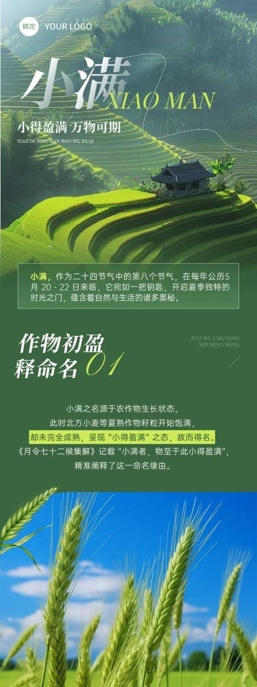 小满节气科普清新感文章长图AIGC