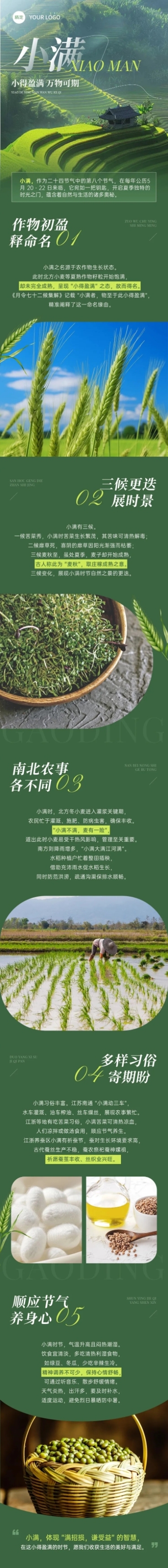 小满节气科普清新感文章长图AIGC预览效果