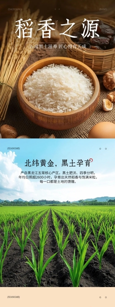 大米食品生鲜农产品商品详情页AIGC