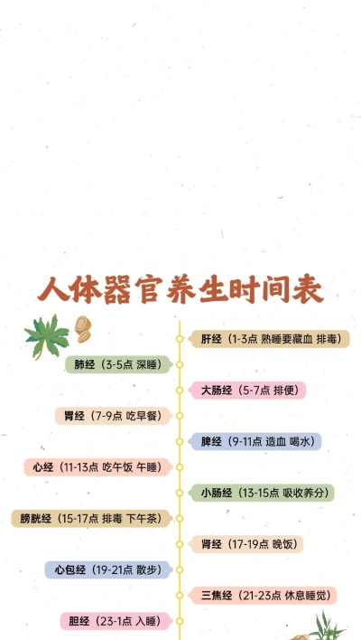 养生时间表手机壁纸全屏