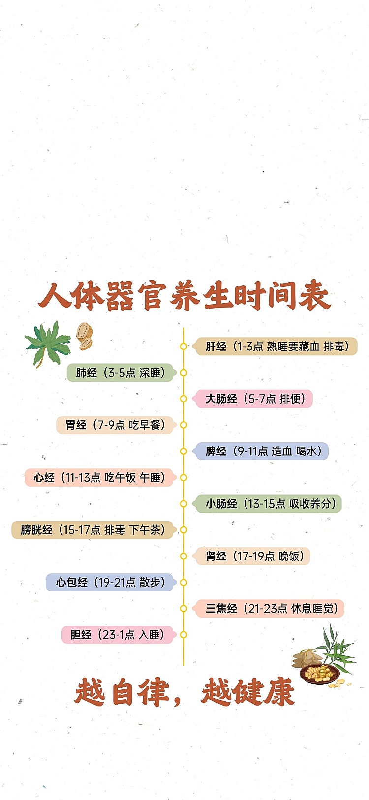 养生时间表手机壁纸全屏