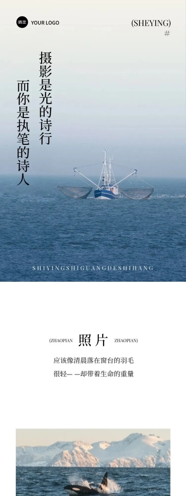 摄影宣传介绍极简文艺感简约排版文章长图