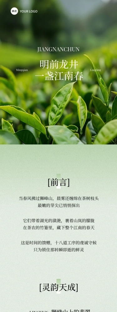 茶叶产品介绍实景简约排版文章长图aigc