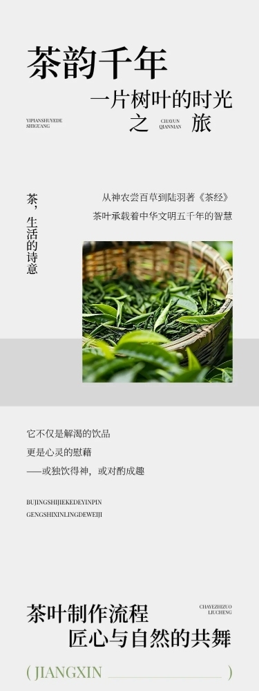 茶叶宣传推广实景排版多画布文章长图aigc