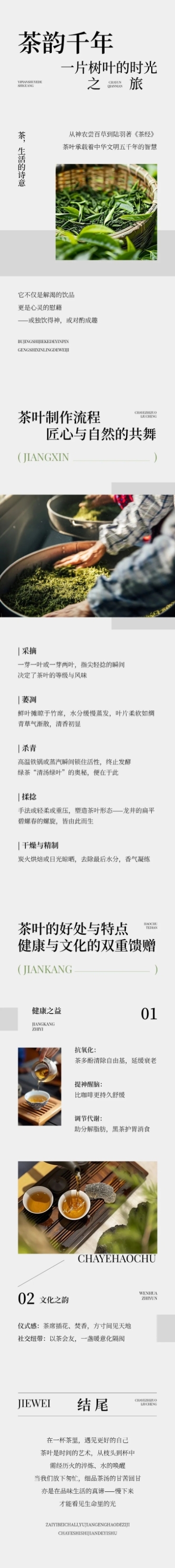 茶叶宣传推广实景排版多画布公众号文章长图aigc预览效果