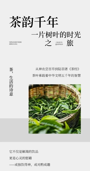 茶叶宣传推广实景排版多画布公众号文章长图aigc