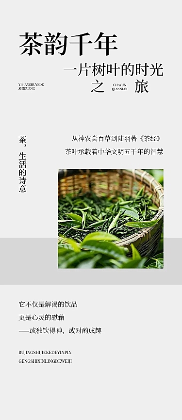 茶叶宣传推广实景排版多画布公众号文章长图aigc