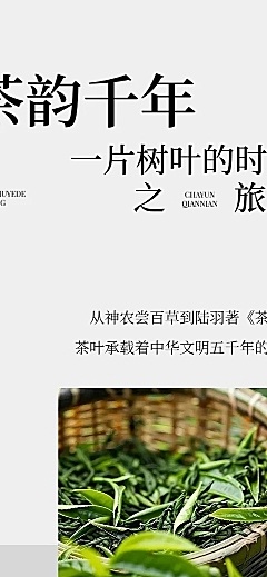 茶叶宣传推广实景排版多画布公众号文章长图aigc