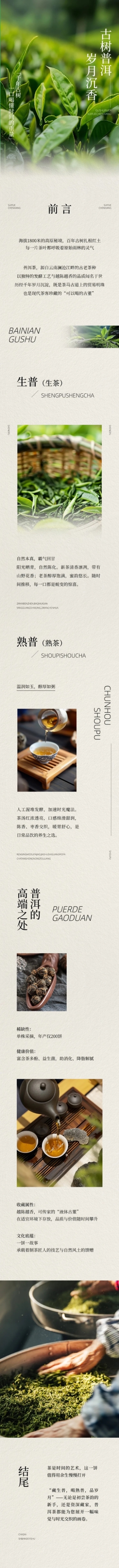 茶叶宣传推广实景排版多画布公众号文章长图aigc预览效果