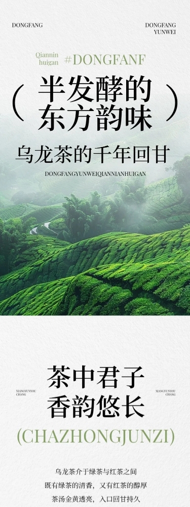 茶叶简约实景排版多画布文章长图